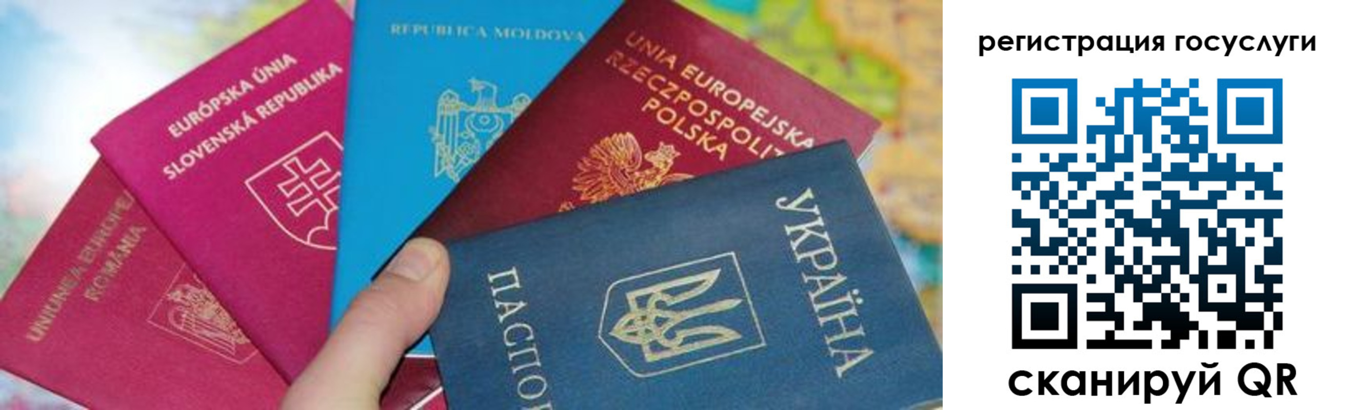прописка гарантия в Дмитрове